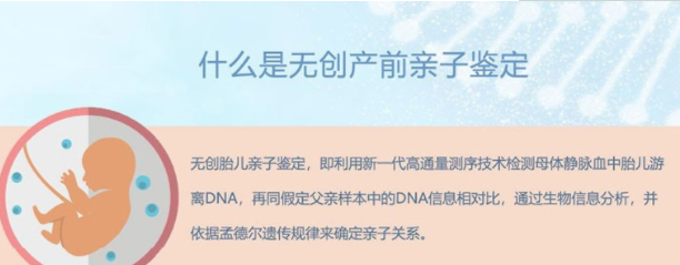 安徽怀孕了要如何办理DNA亲子鉴定最简单方便,安徽怀孕亲子鉴定收费明细